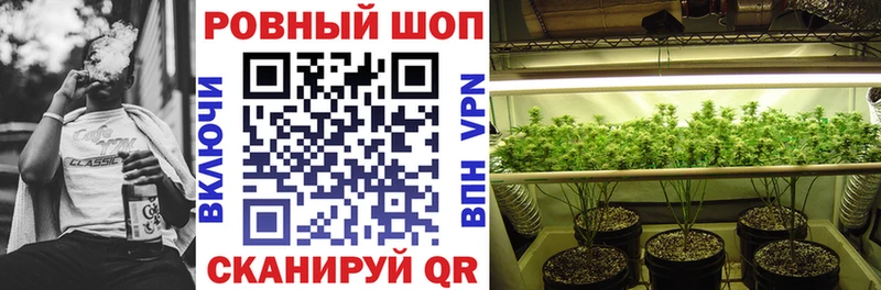 Конопля Горно-Алтайск