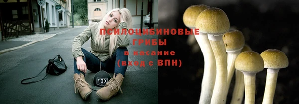 ECSTASY Зеленокумск