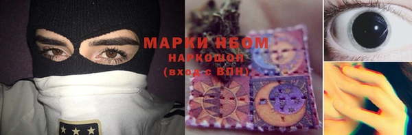 дмт Инсар