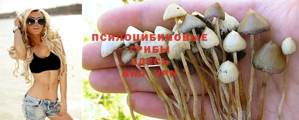 ECSTASY Зеленокумск
